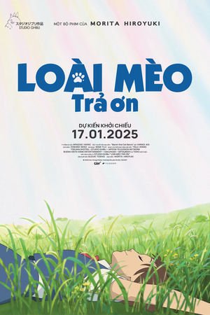 Loài Mèo Trả Ơn